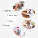 Table de Toilettage Chiens Chats Pliable Professionnelle Terrier 