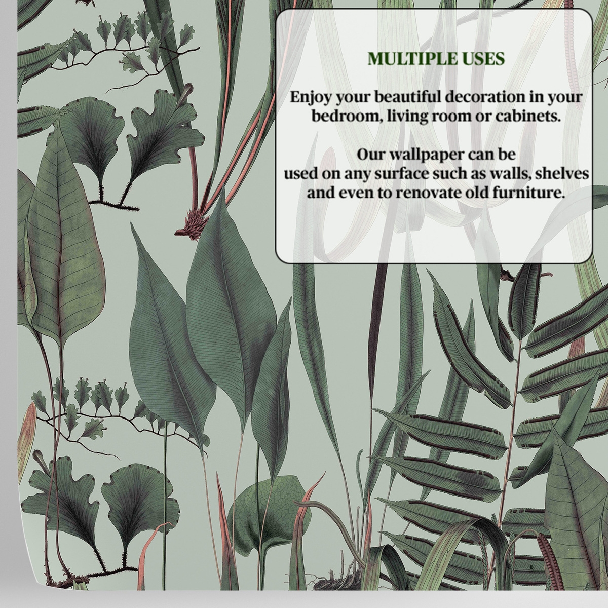 Papier peint salon avec plantes et feuilles jungle Botanica Verde Modèle