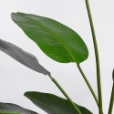 Realistische künstliche Zimmerpflanze 170x32x185 mit Topf Strelitzia Verkauf