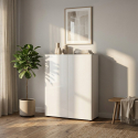 Meuble à chaussures gain de place 2 portes avec étagères Mister