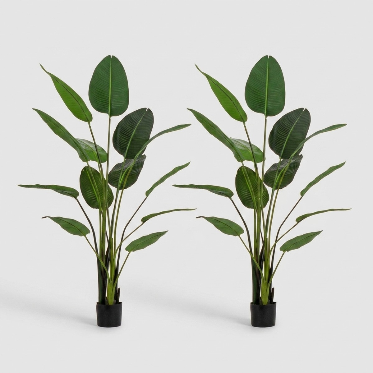 2 realistische künstliche Zimmerpflanzen 170x32x185 cm mit Topf Strelitzia Bizzotto