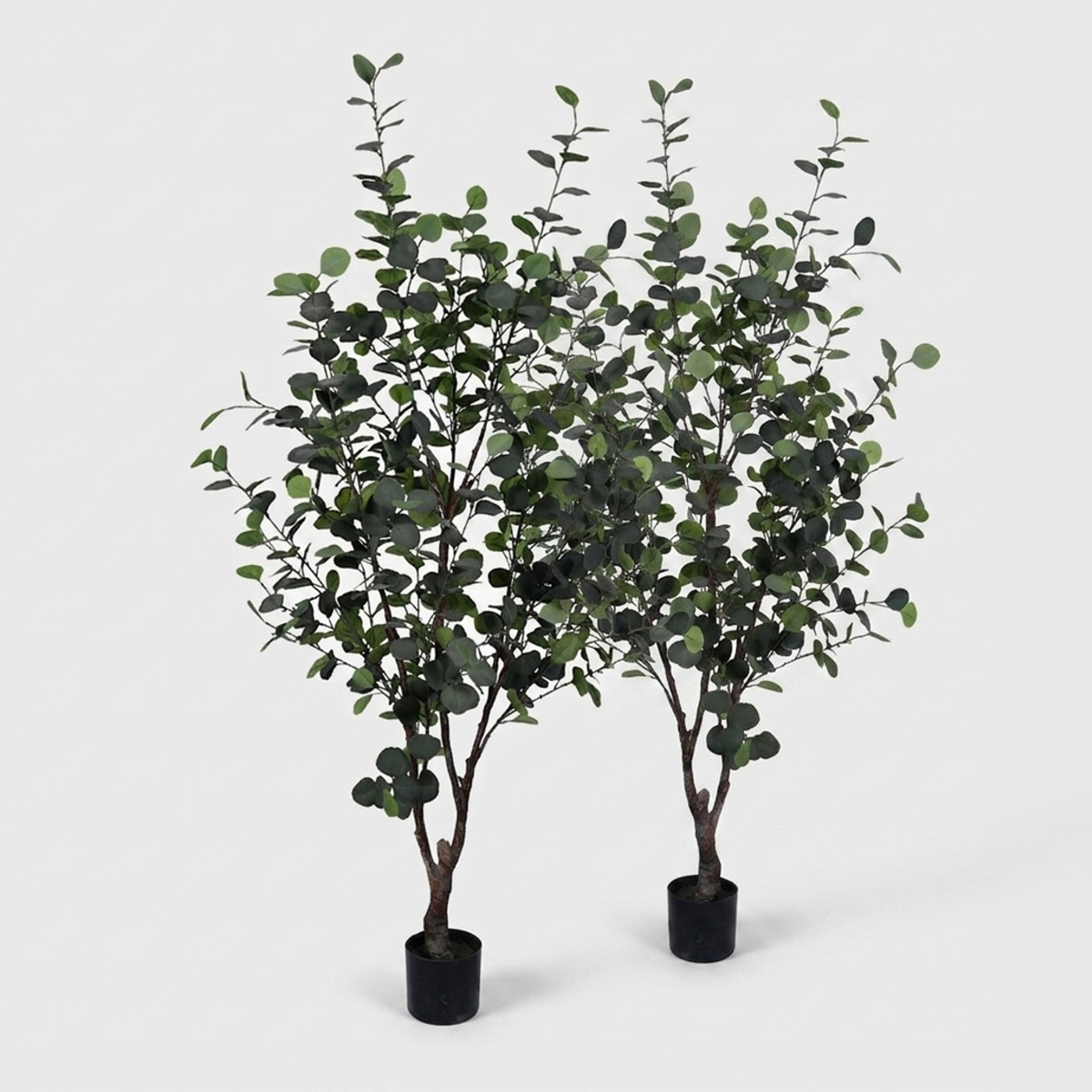 2 künstliche Eukalyptus-Pflanzen für den Innenbereich, 180 cm, im Topf, Eucalipto Bizzotto