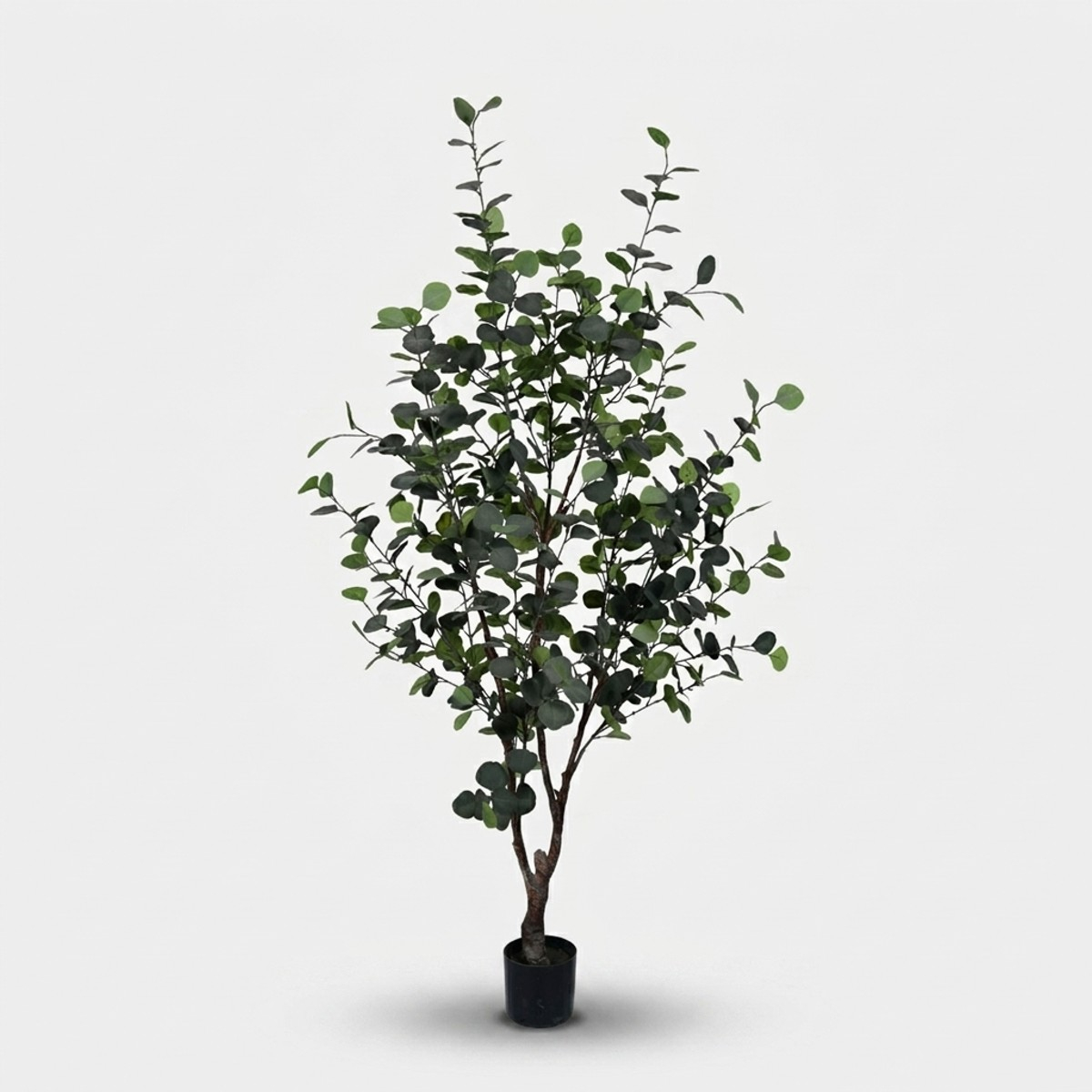 2 künstliche Eukalyptus-Pflanzen für den Innenbereich, 180 cm, im Topf, Eucalipto Bizzotto
