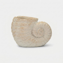 Vaso decorativo a conchiglia in MGO Shell Sand A