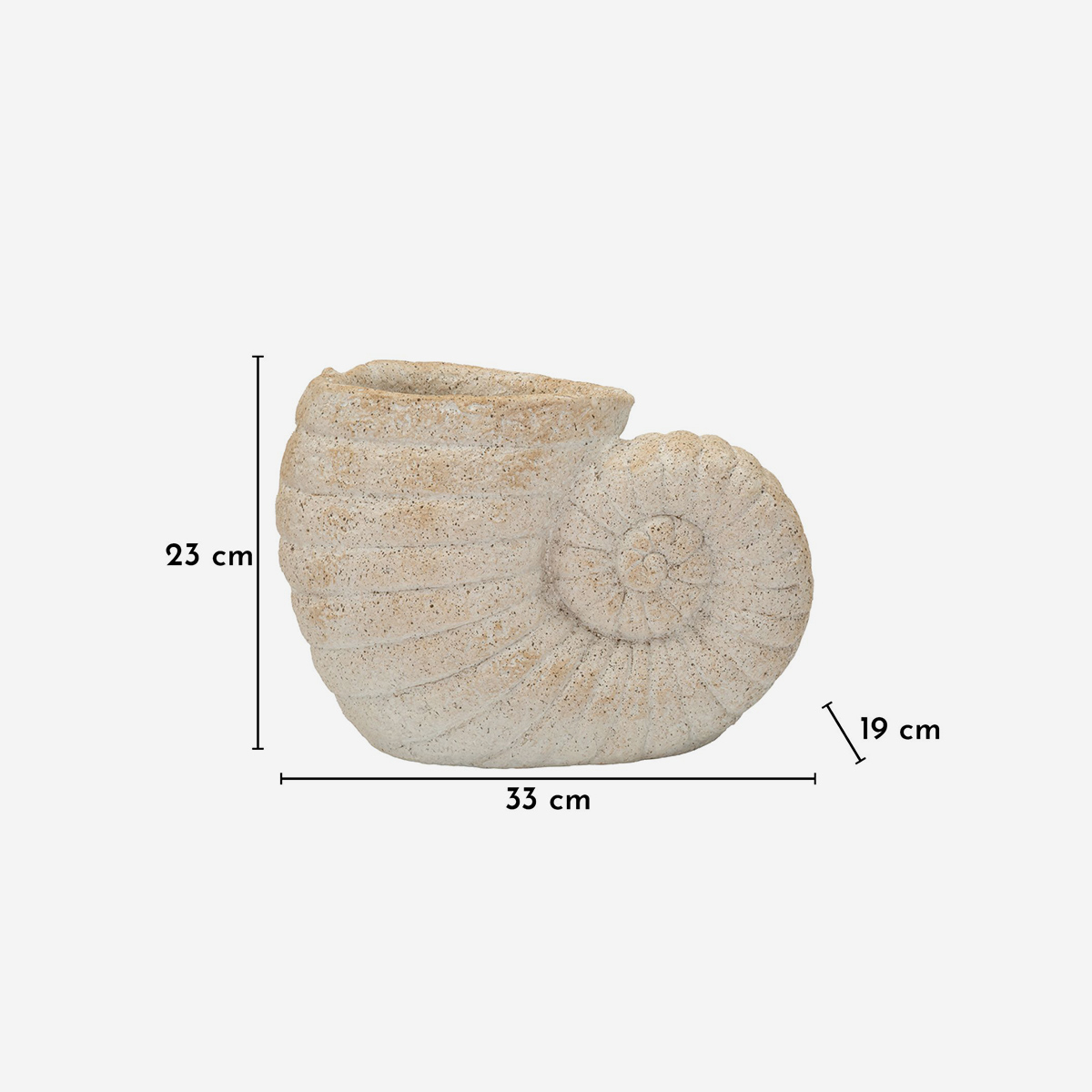 Vaso decorativo a conchiglia in MGO Shell Sand A