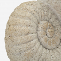Vaso decorativo a conchiglia in MGO Shell Sand A