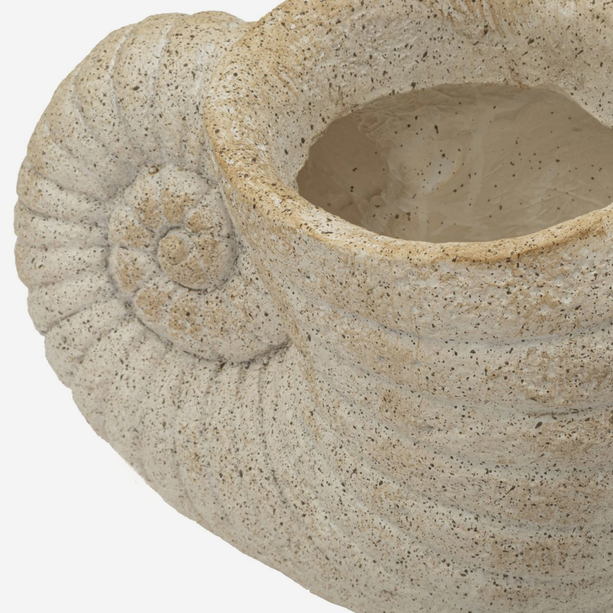 Vaso decorativo a conchiglia in MGO Shell Sand A
