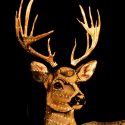 Décoration lumineuse cerf à LED pour intérieur Blaze