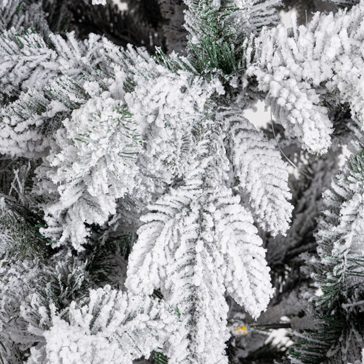 Verschneiter Weihnachtsbaum 210 cm 1927 Zweige Harvard