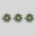 Set 3 ghirlande decorative da parete con bacche Tuckett