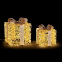 Set 2 regalos luminosos decorativos con microled Gifts