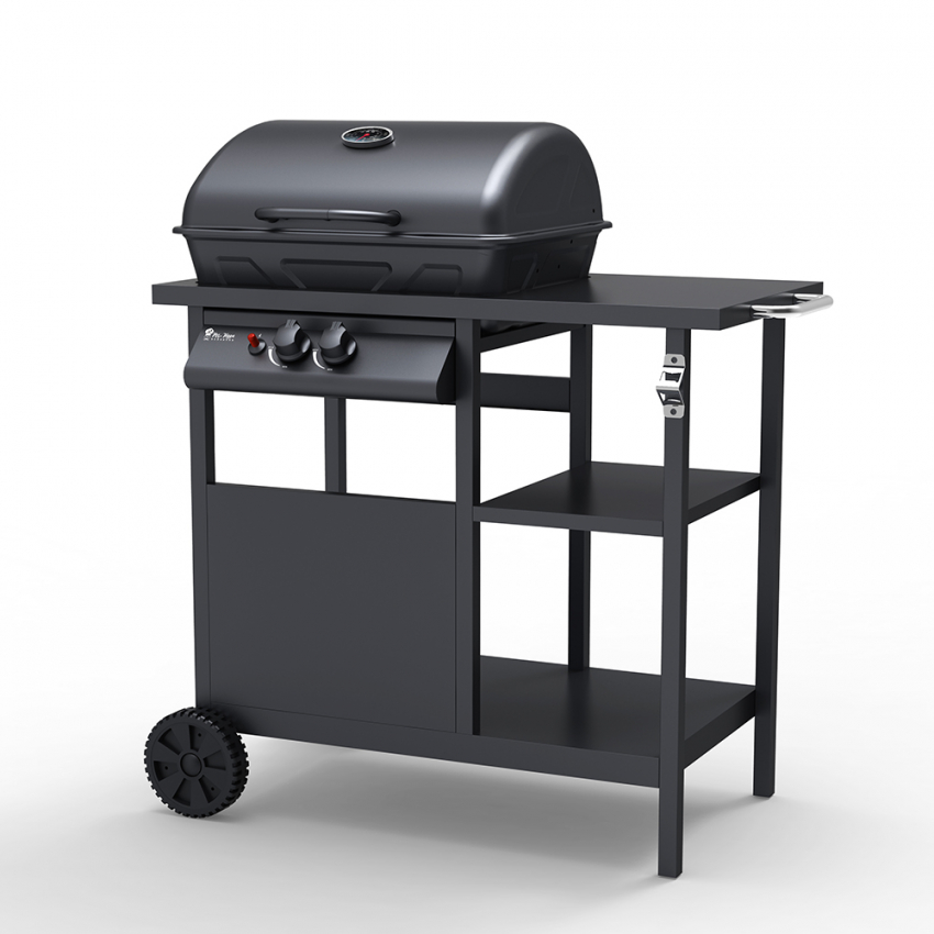 Barbecue BBQ à gaz en acier inoxydable 2 brûleurs grille Bagnét Verd Fr Promotion