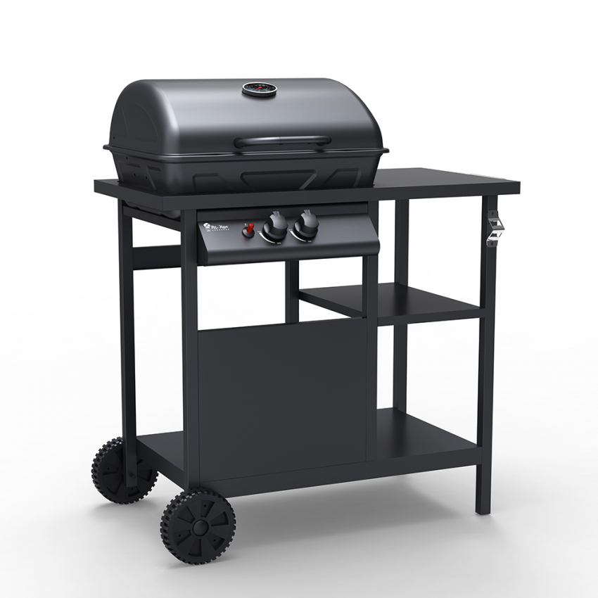 Barbecue BBQ à gaz en acier inoxydable 2 brûleurs grille Bagnét Verd Fr Remises